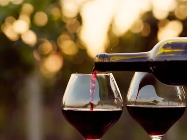 Sip in style: The best red wine glasses crafted for the perfect pour