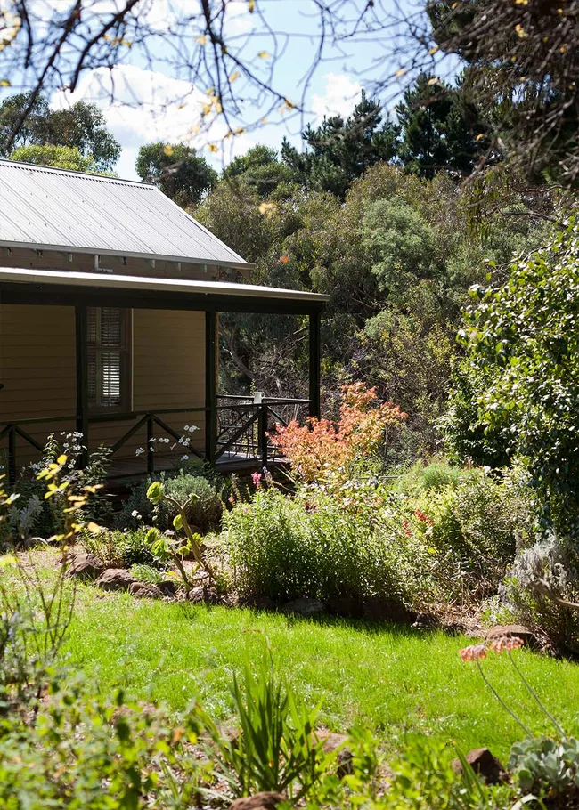 A rustic house with a metal roof surrounded by lush greenery and colorful garden under a bright blue sky.