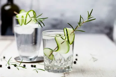 Drinking gin and tonic may help reduce hay fever