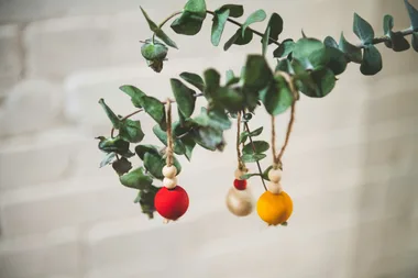 DIY natural Christmas decorations