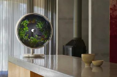 This amazing gadget allows you to grow a vegie patch indoors