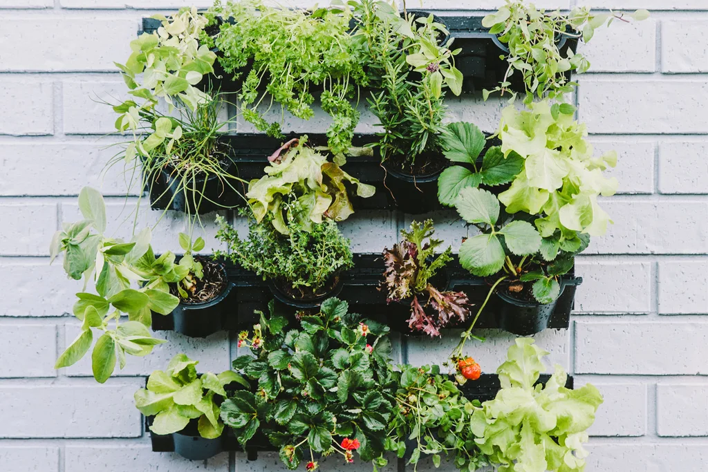 Bunnings vertical herb garden