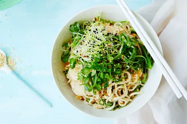 Chicken soba noodle salad with sesame peanut dressing