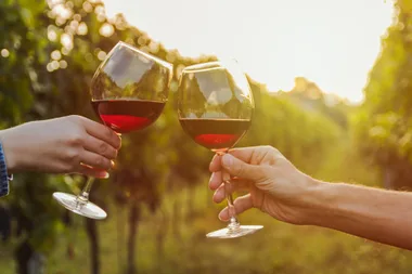 Southern Highlands winery creates virtual wine tastings