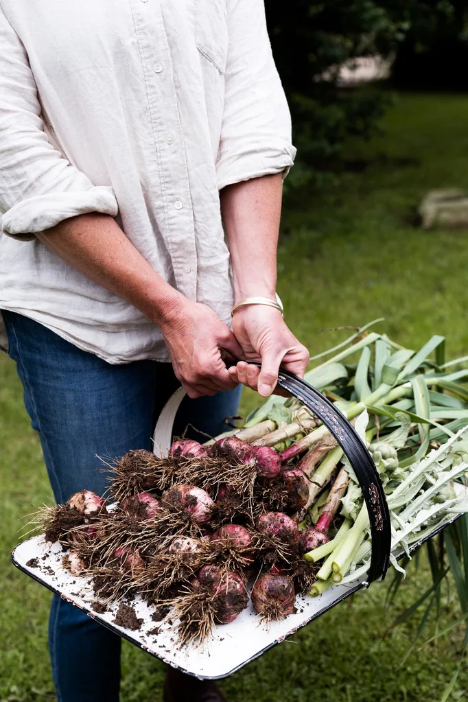 cottage vegie garden fresh garlic