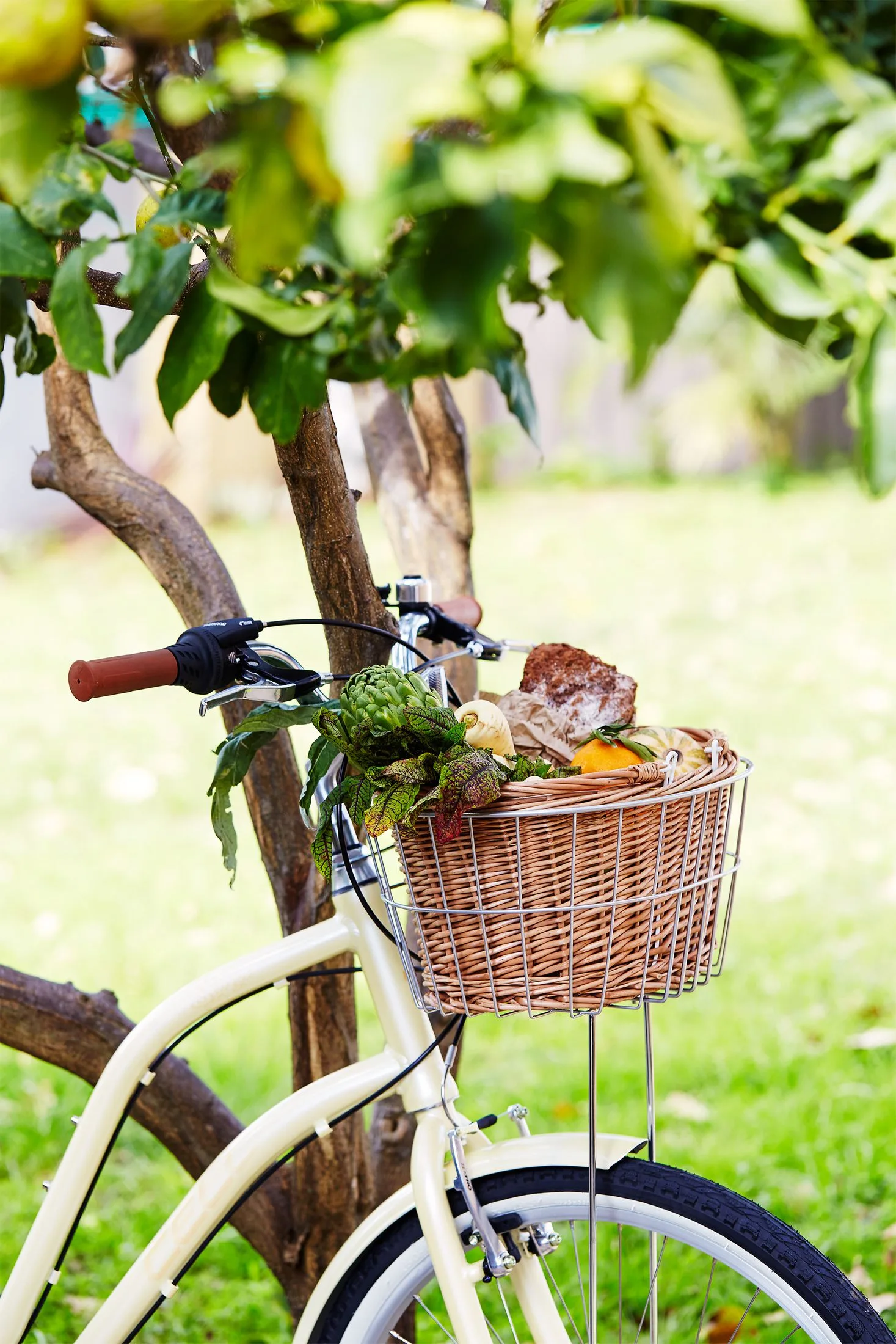 Bicycle with farmers market produce