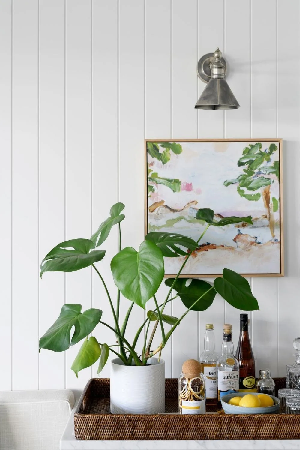 Monstera deliciosa indoor plant on bar table