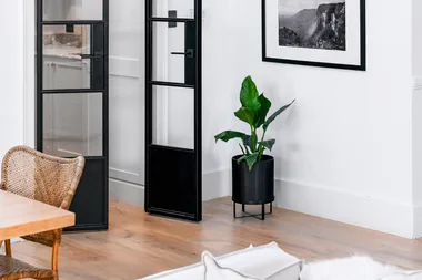 How to care for a peace lily