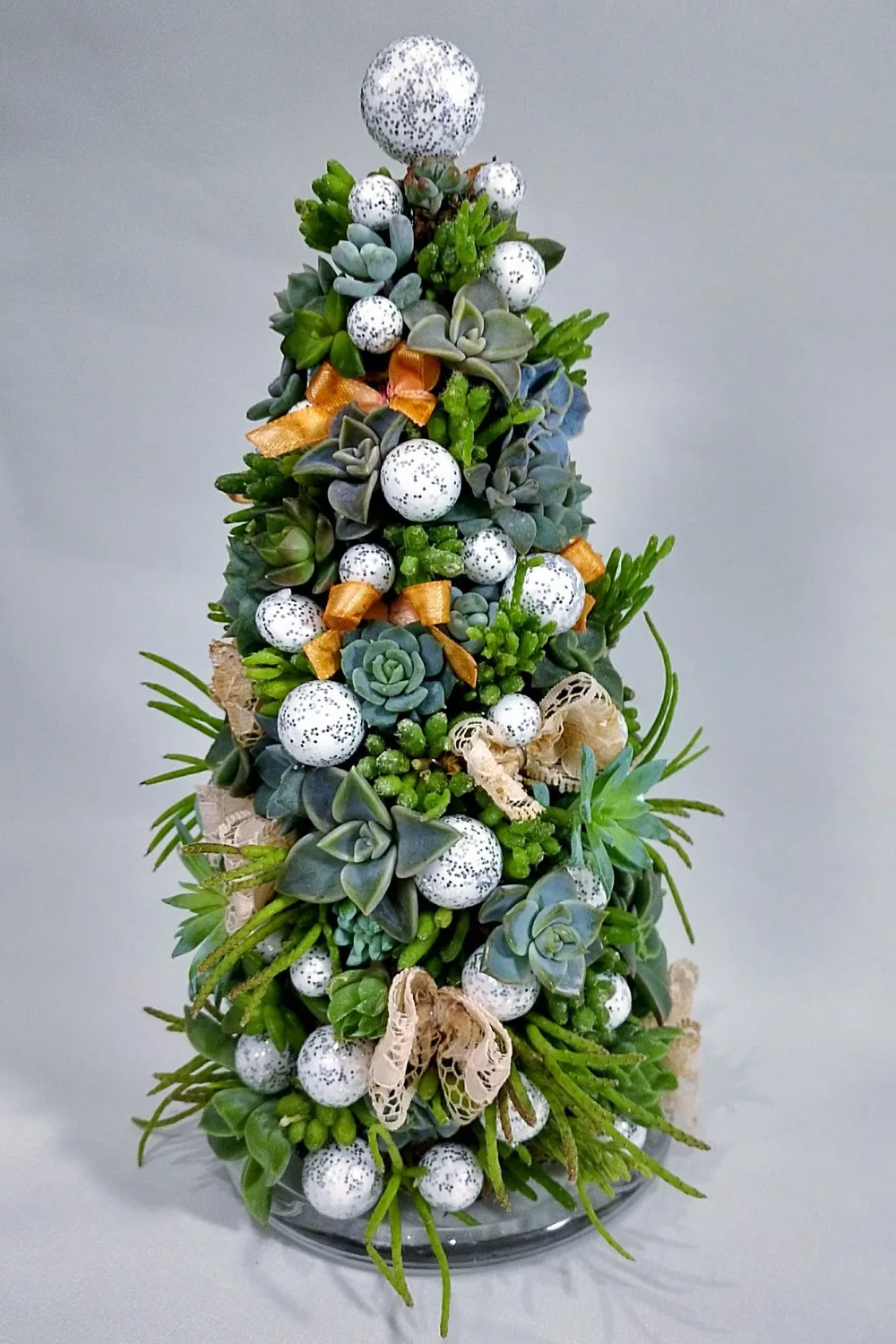 Succulent Christmas tree with silver balls