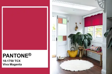 Viva Magenta has been named Pantone’s 2023 Colour of the Year