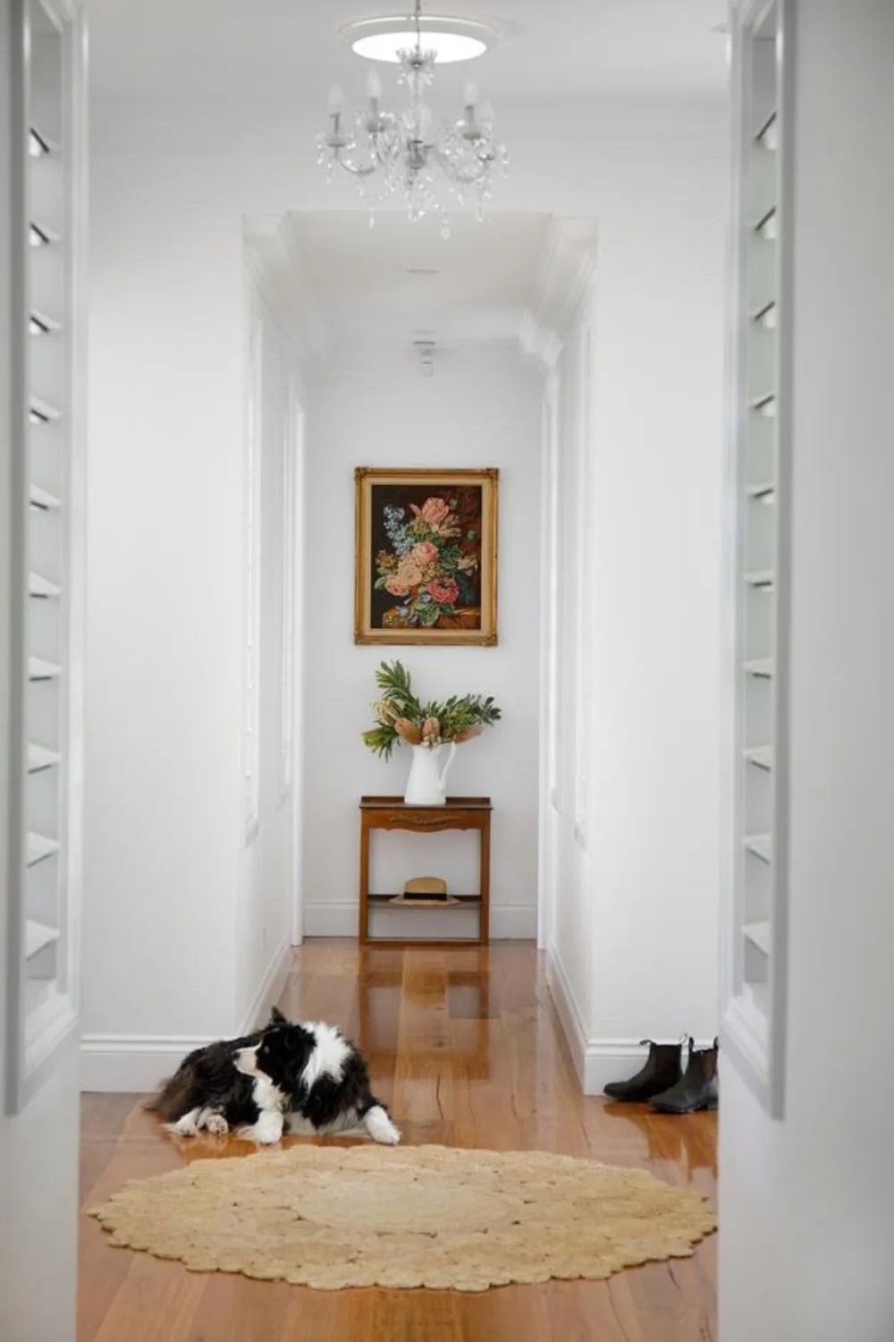 Dog sitting on floor in hallway