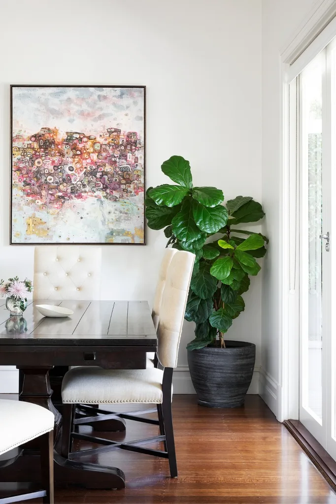 Living room with large indoor planter in corner