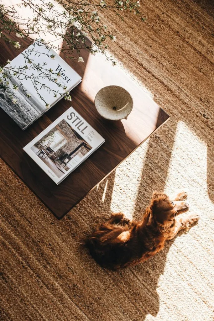 country living room coffee table jute rug