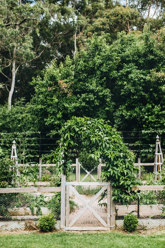 Vegetable garden with wooden gate and fence