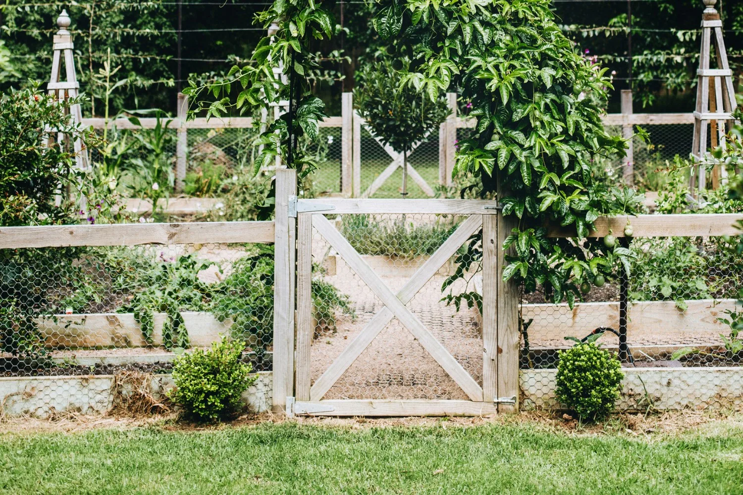 3 gardening tasks to complete in autumn