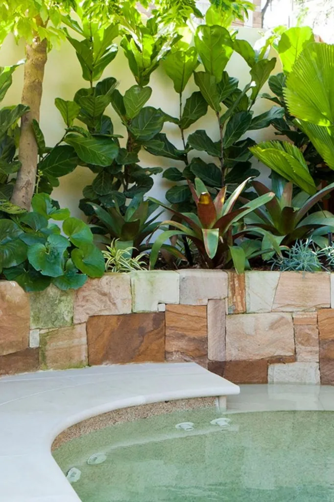 Pool with tropical garden