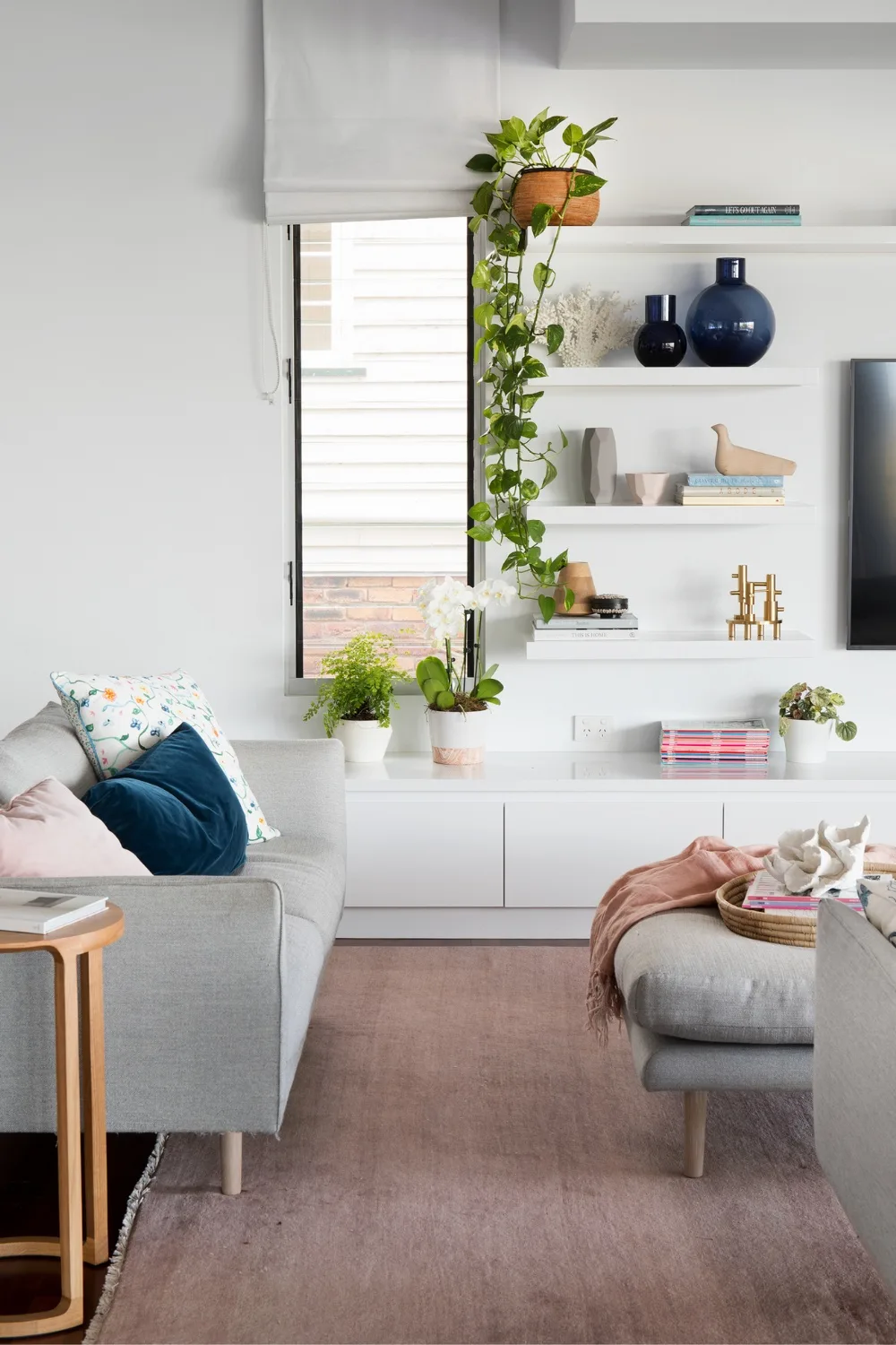 Contemporary living room with indoor plants on shelf