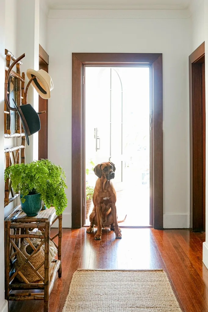 entrance timber floors jute rug