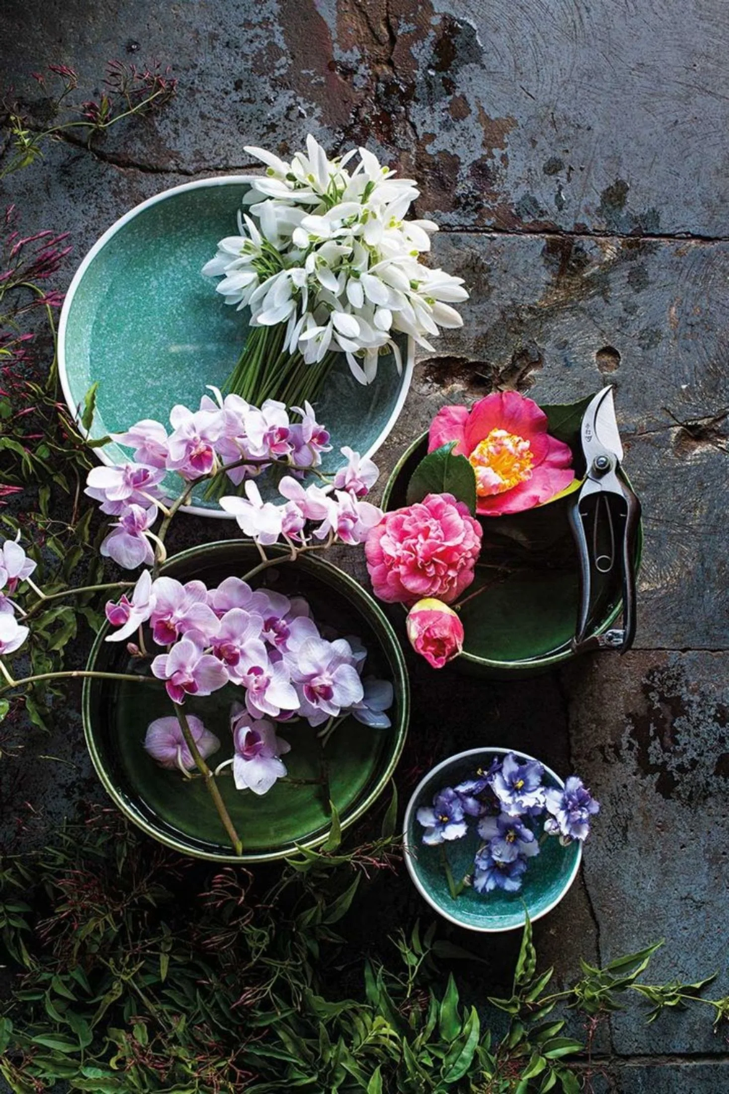 Cut flowers in bowls