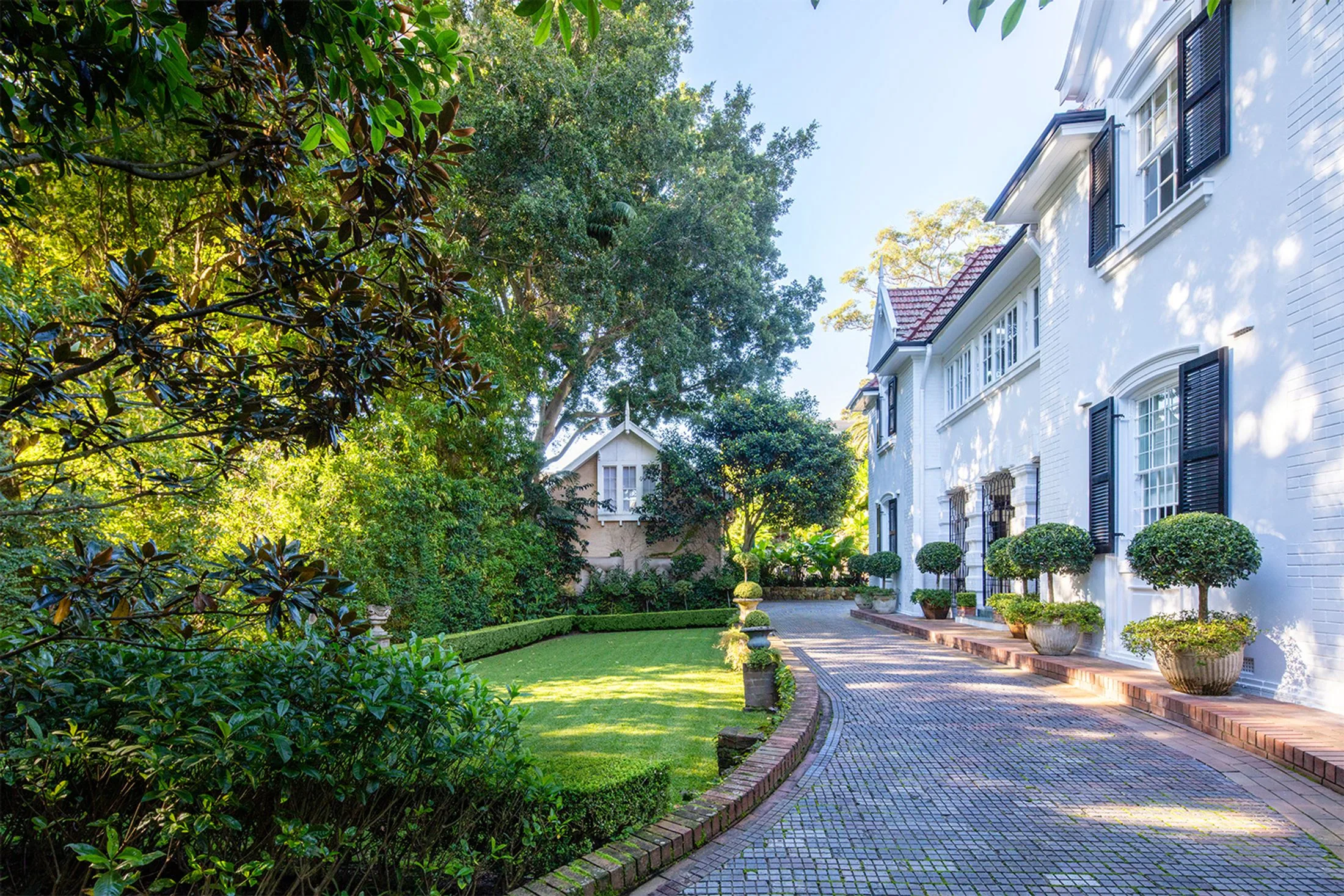 Tropical wonder: an eastern suburbs garden revival