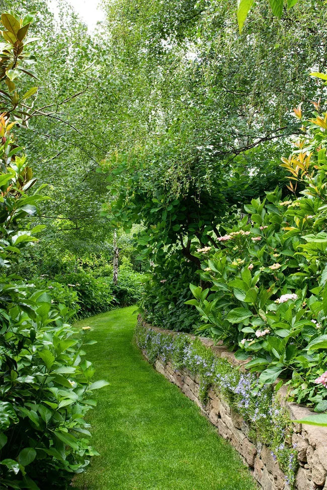 hobart-century-old-home-garden-hydrangeas