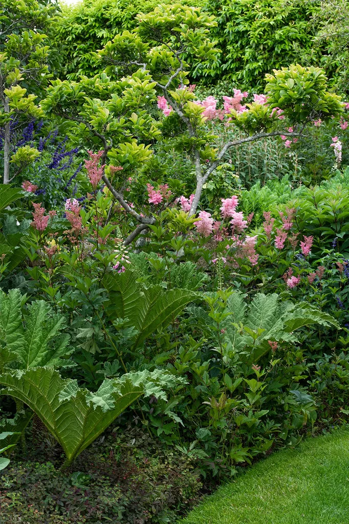 hobart-century-old-home-garden-queen-of-the-prarie