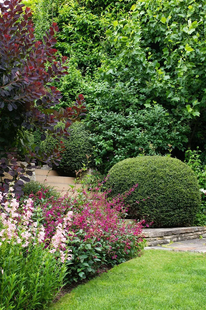 Back garden with raised grassed steps, mature trees and layered plantings