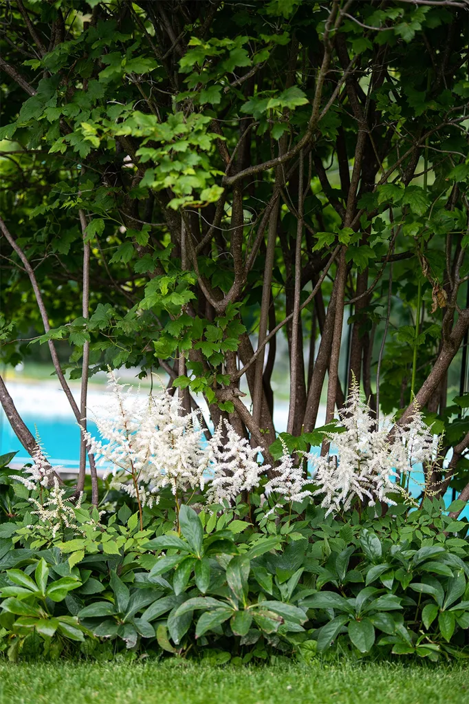 hobart-century-old-home-garden-white-astible