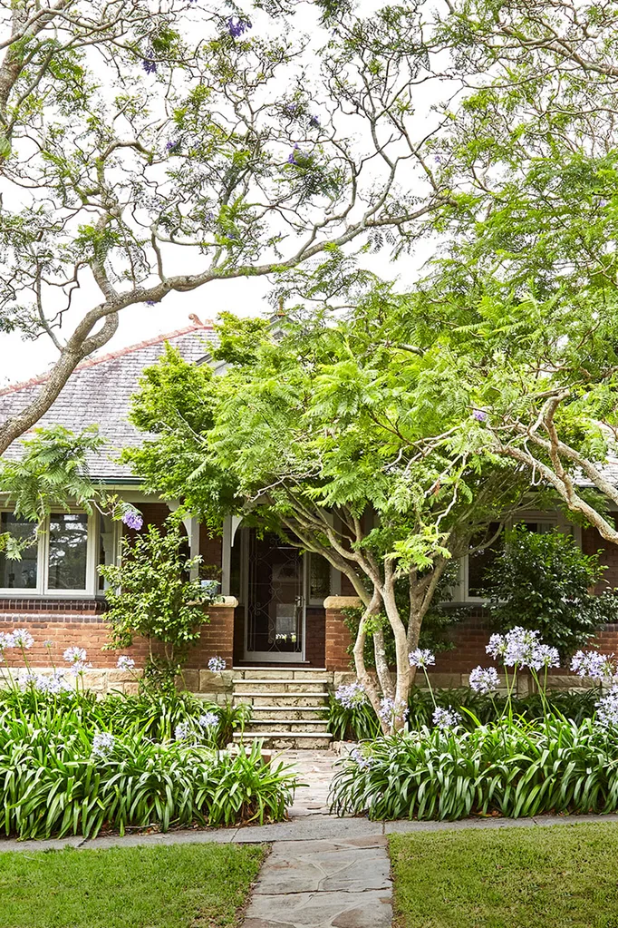 Brick home exterior with Jacarandas in front garden