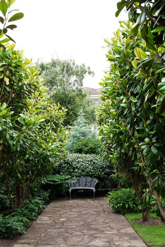 Tropical style garden with crazy paving pathway