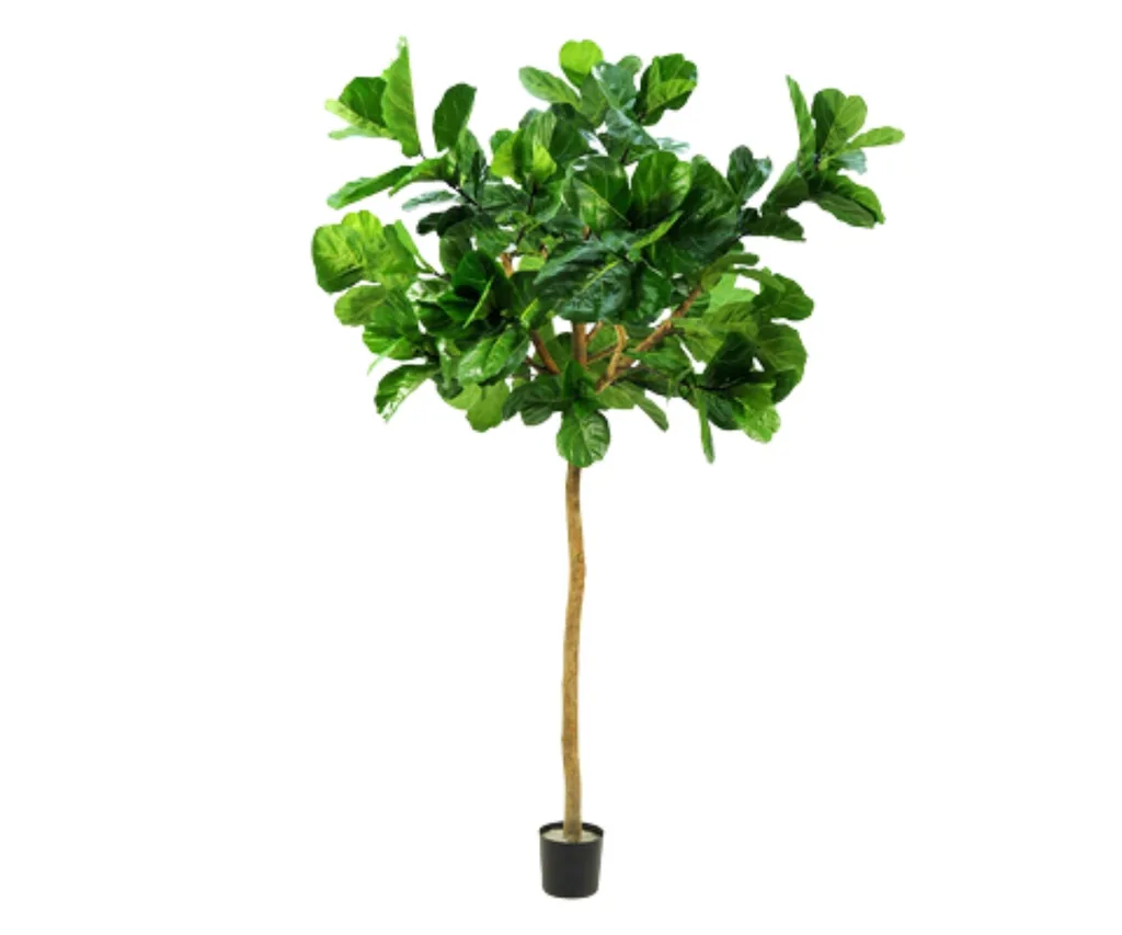 faux fiddle leaf fig