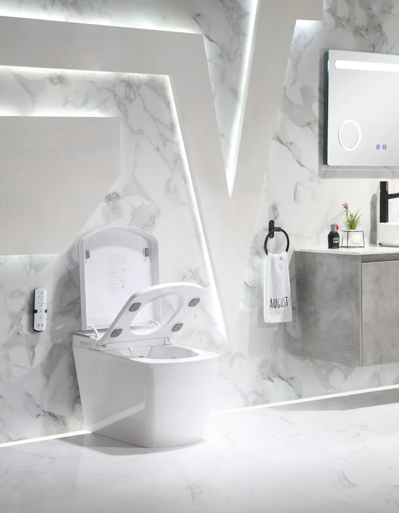 smart toilet