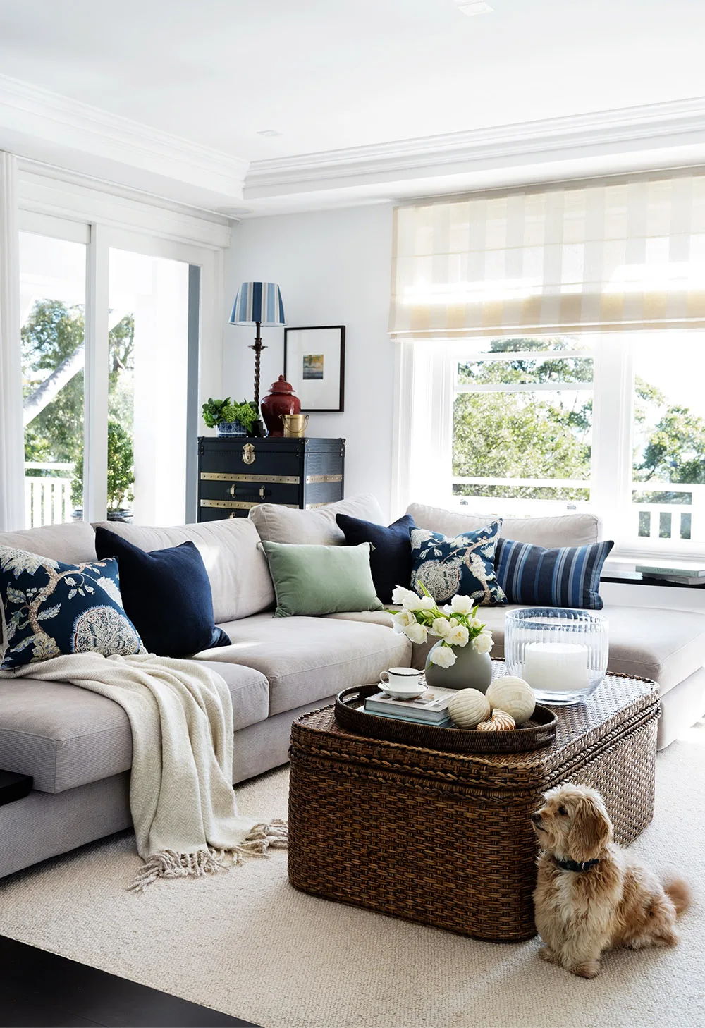 Hamptons style living room with small dog next to coffee table