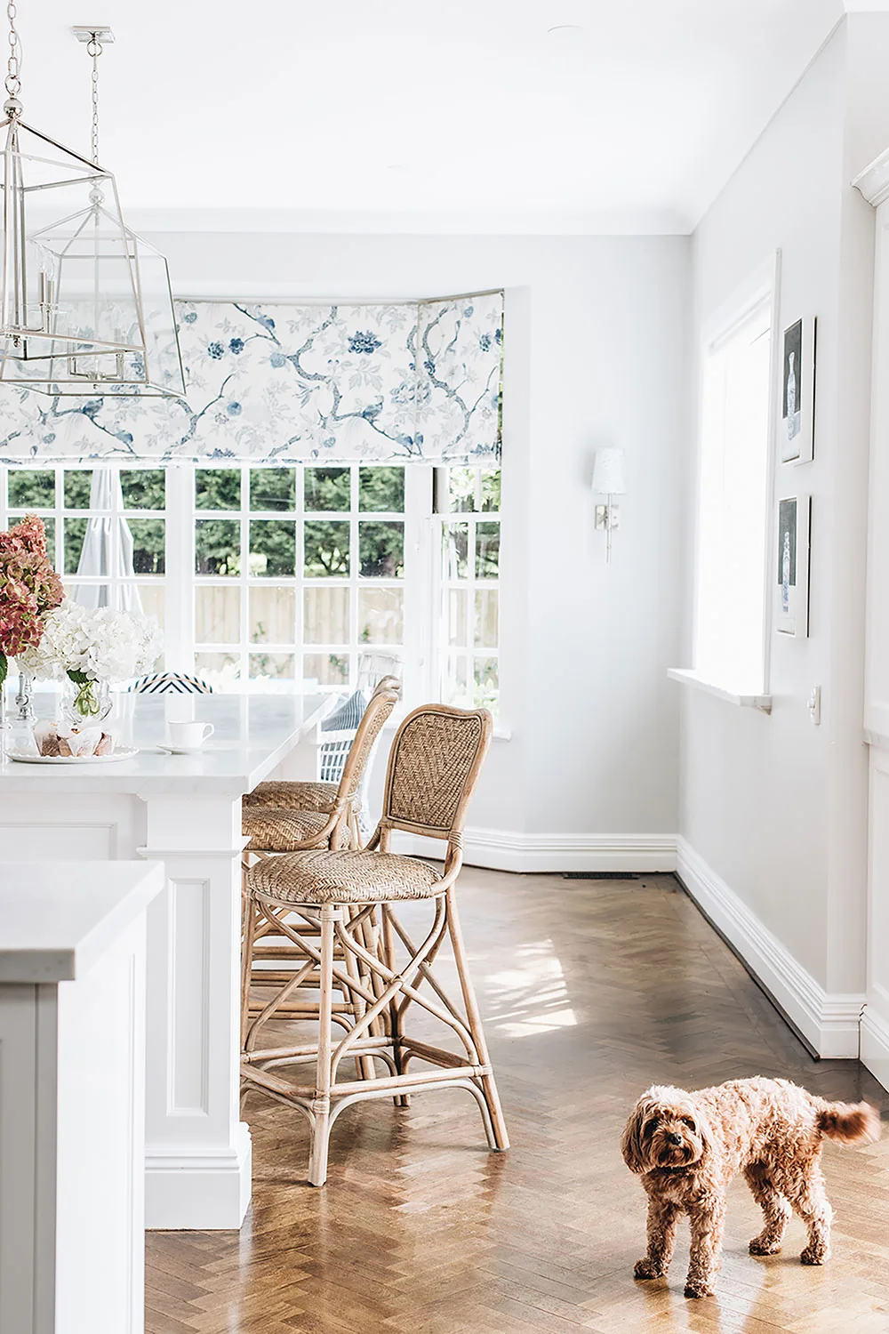 Hamptons style kitchen with dog in foreground