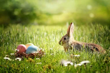 Non-chocolate Easter gift ideas that are just as sweet