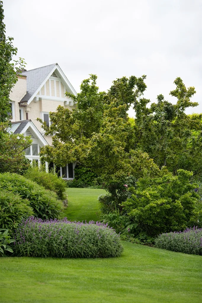 Backyard with English style landscaping and lawn