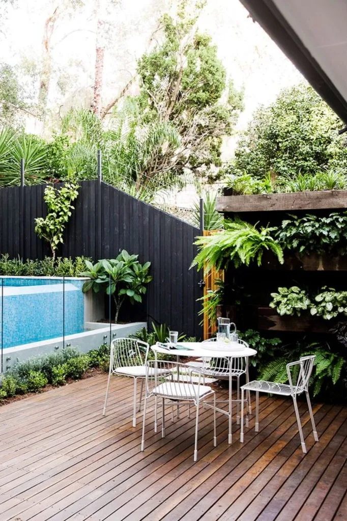 Backyard featuring deck, a pool and a vertical green wall.