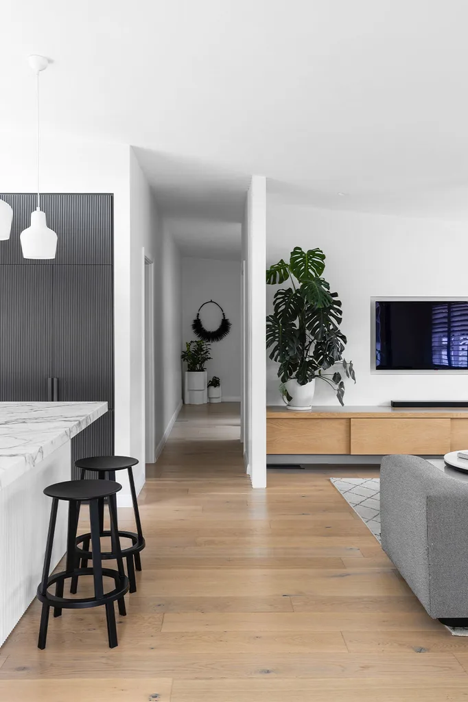 Modern open plan living and dining room with monstera plant on TV unit