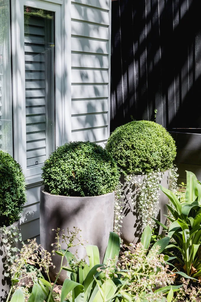 hamptons garden with pots