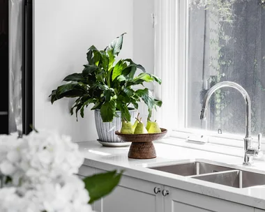 hamptons sink with silver mixer