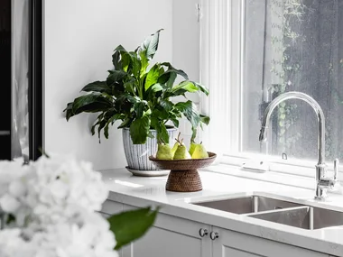 hamptons sink with silver mixer