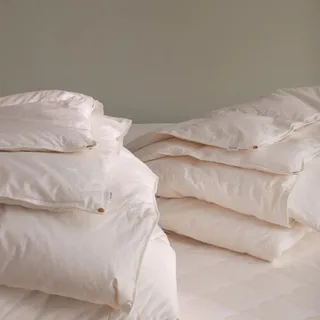 Low Down Light + Medium quilt bundle, Sheet Society