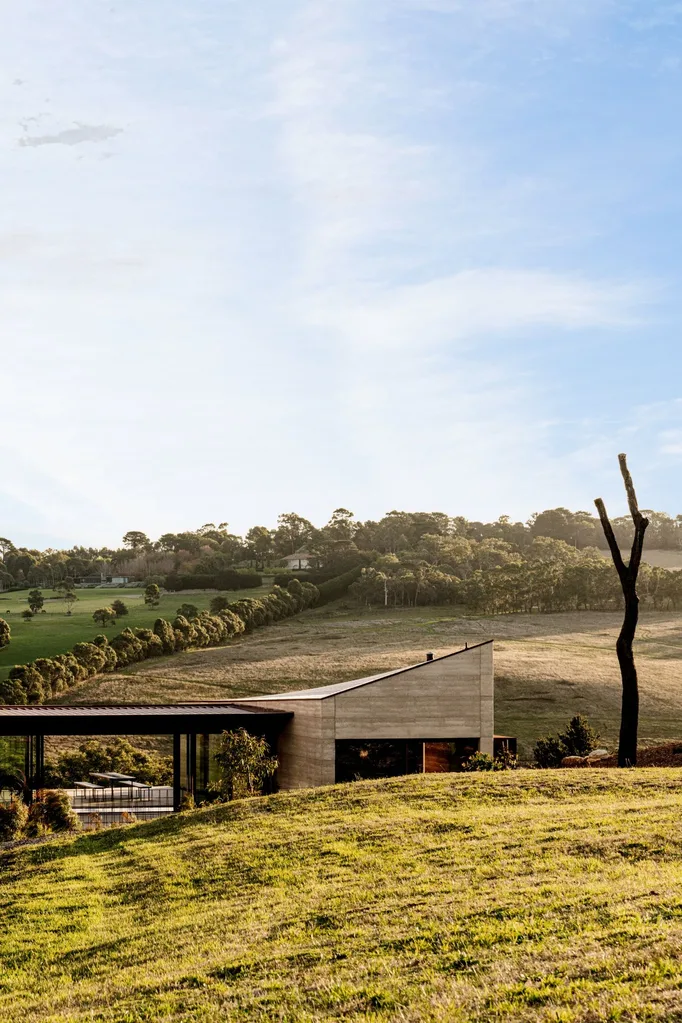 sustainable home with timber cladding exterior