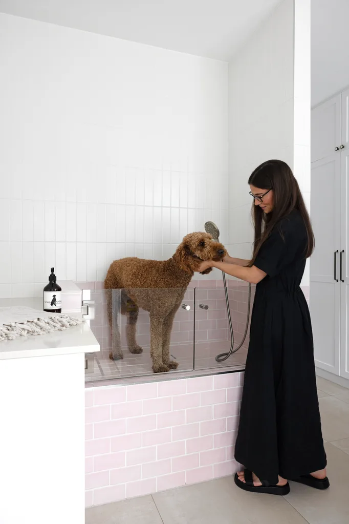 Woman washing dog in laundry tub