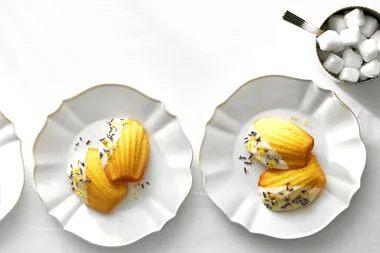 Lemon madeleines with chocolate and lavender