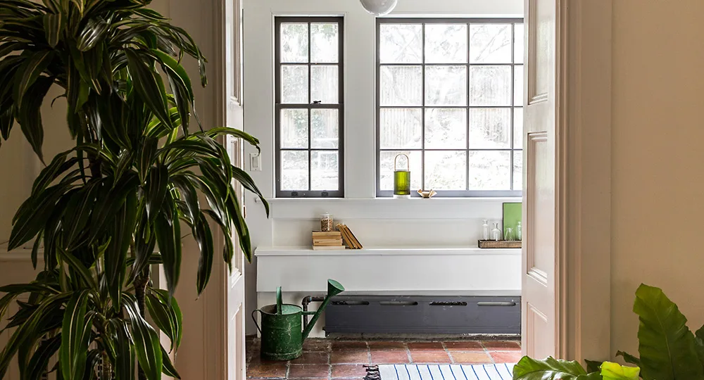 Bright room with large windows, a plant on the left, a watering can, and books on a bench under the window.