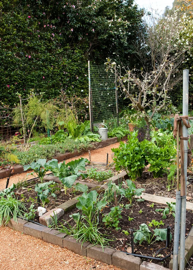 Vegetable garden with leafy greens, herbs, a bare tree, and a watering can, surrounded by dense greenery.