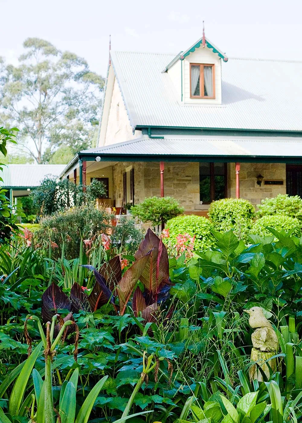 Summer watering tips