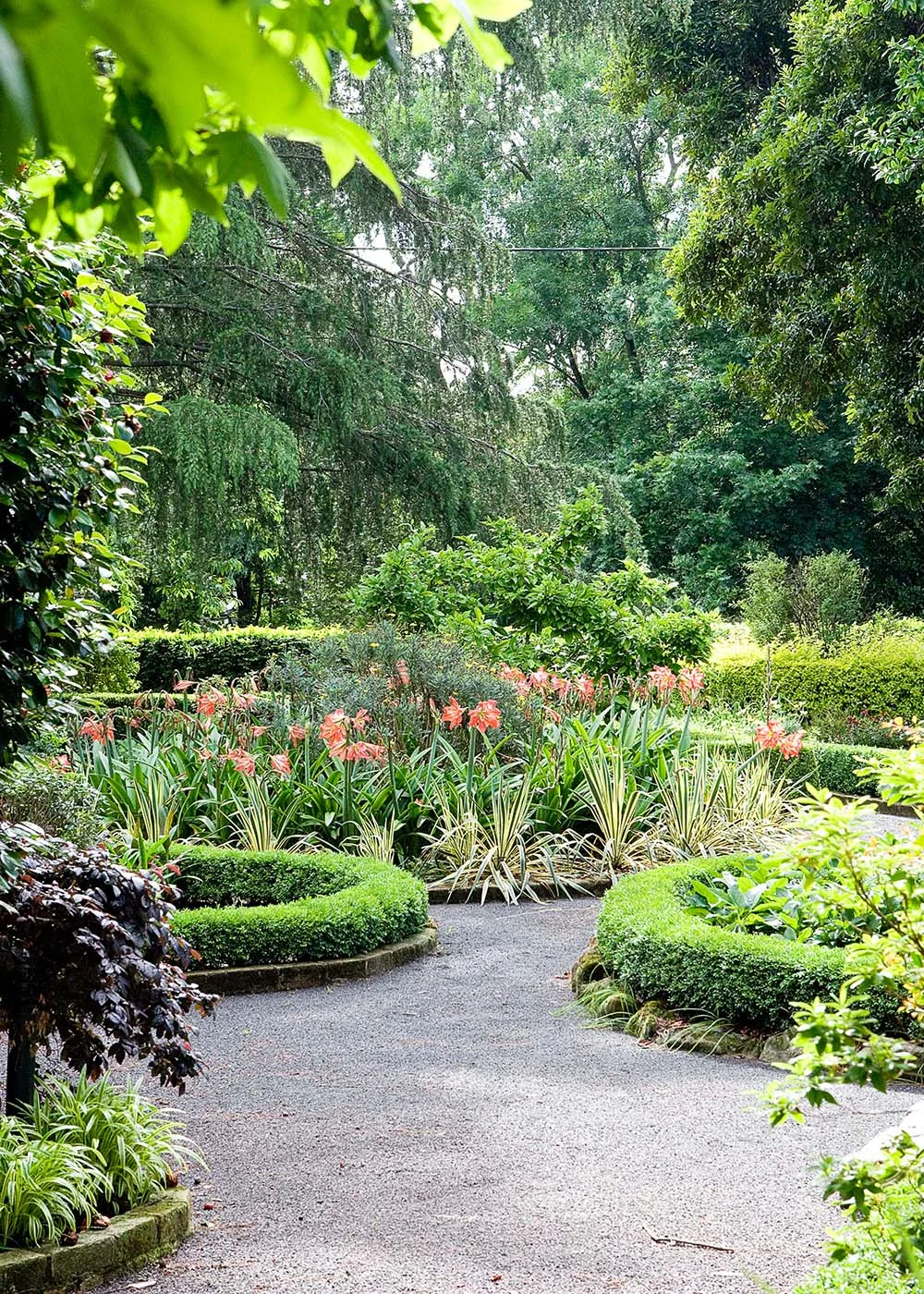 Summer watering tips