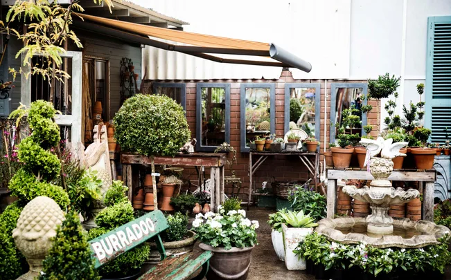 Garden scene with potted plants, a fountain, mirrors, and a green sign reading "Burradoo" leaning against a bench.